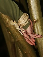 Dutch girl tied to tree, pic #11